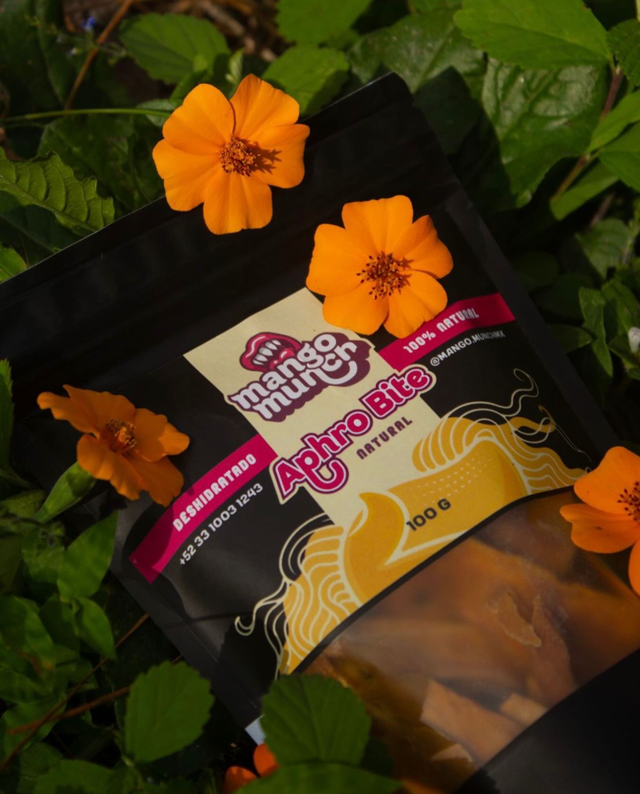 Aprobite - Natural Dehydrated Mango